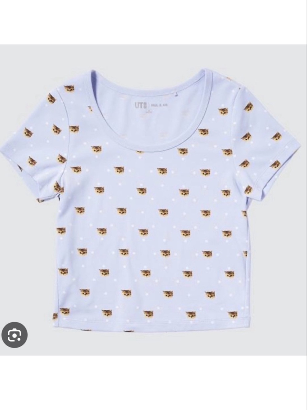Uniqlo Cat Photographs UT Graphic T-Shirt, Blue, Small, EUC 🐱